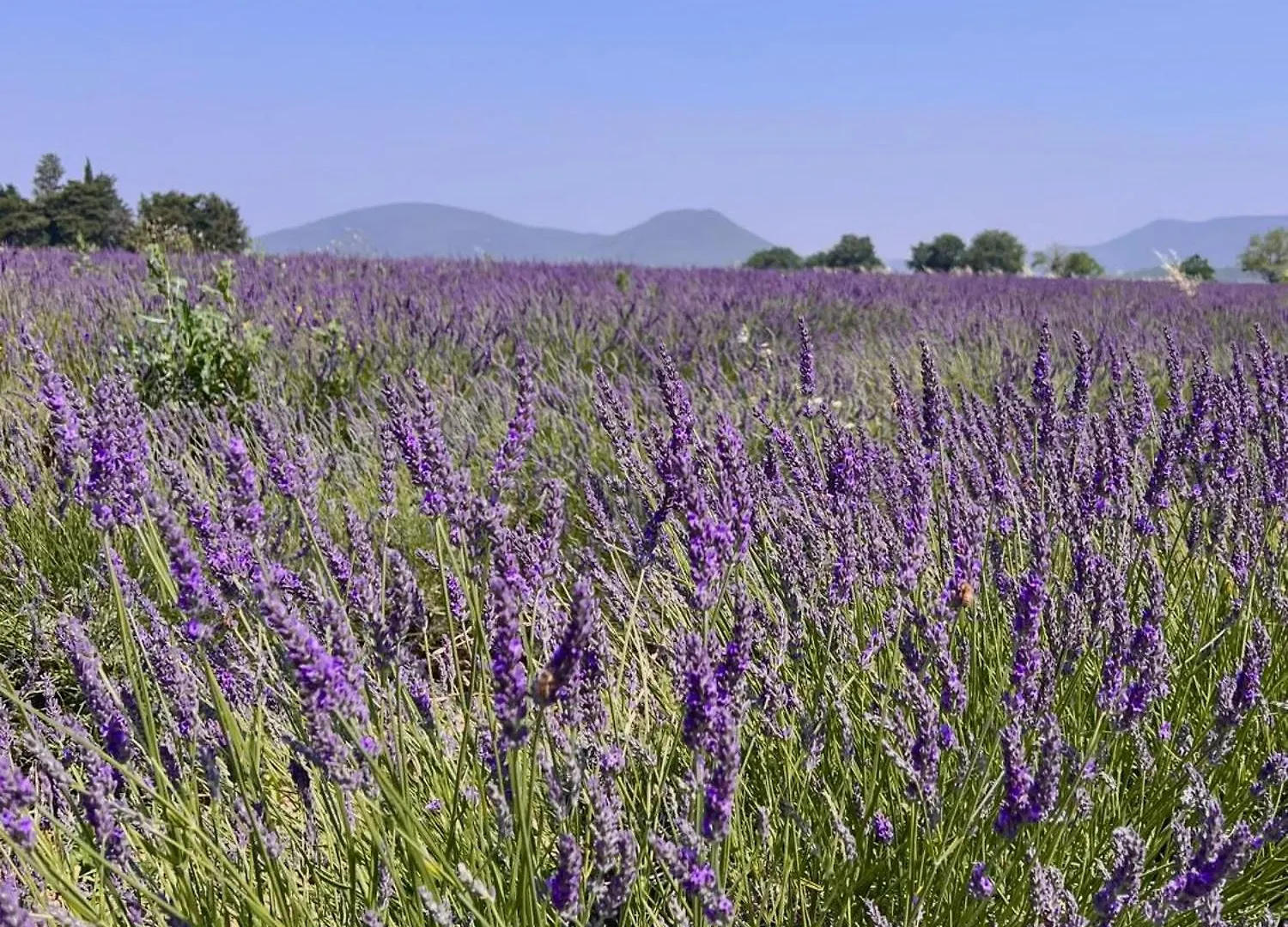 *** Bed & Breakfast Le Moulin De Montsegur Bed and Breakfast Frankrig