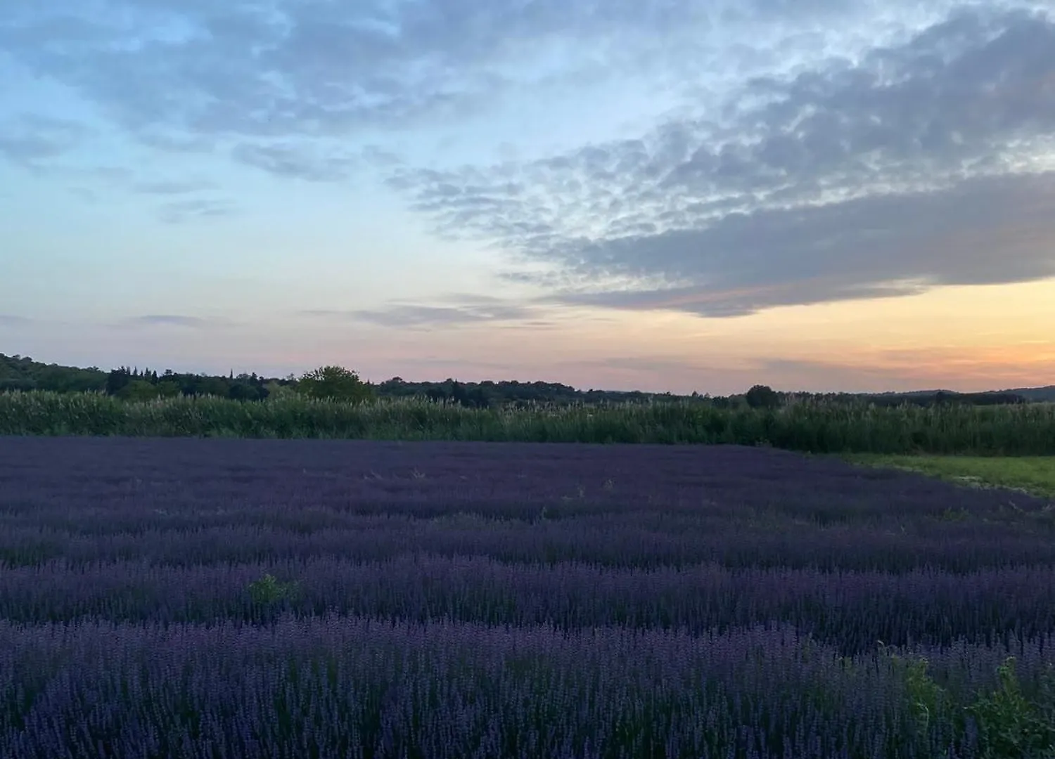 *** Bed & Breakfast Le Moulin De Montsegur Bed and Breakfast Frankrijk